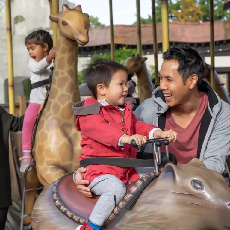 Adventure Tree Carousel