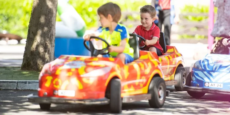 Cuckoo Cars Driving School